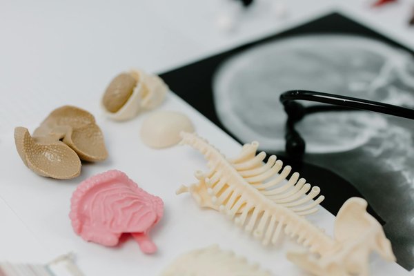 Les super aliments : essentiels pour un rééquilibrage alimentaire réussi ?